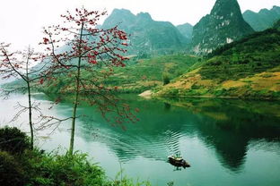 自駕廣西六條線路推薦,帶你游遍廣西