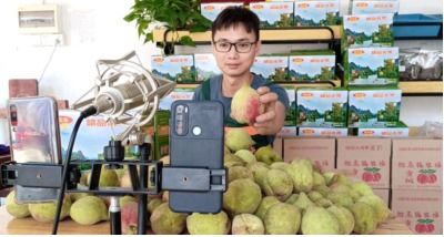 廣西平樂(lè)縣,生態(tài)水果成網(wǎng)紅產(chǎn)品