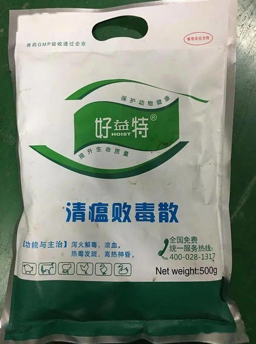 家禽八個常見呼吸道病 一病一藥方 匯總