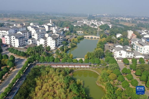 振興鄉村生態美，廣西南寧繪就綠色發展新畫卷