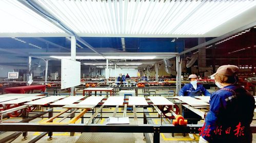 小證書撬動大產業 梧州市有關認證工作躍居全區前列