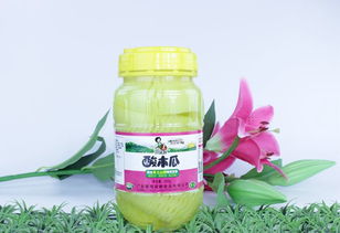 廣西靖西梁鵬食品簡介